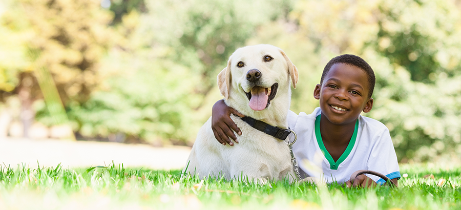 Young boy with arm around yellow labrador